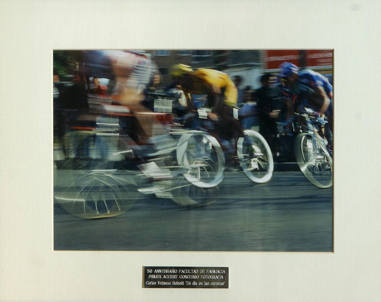 Un día en las carreras 