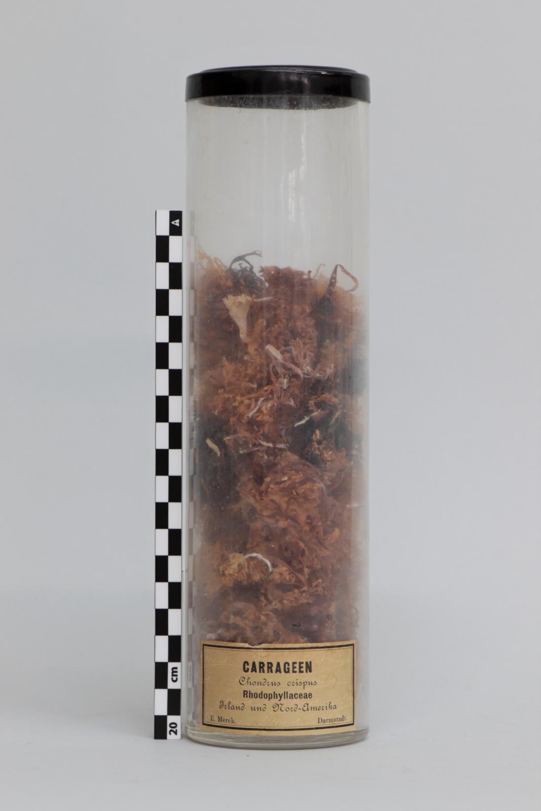 Bote de vidrio con “Carrageen”