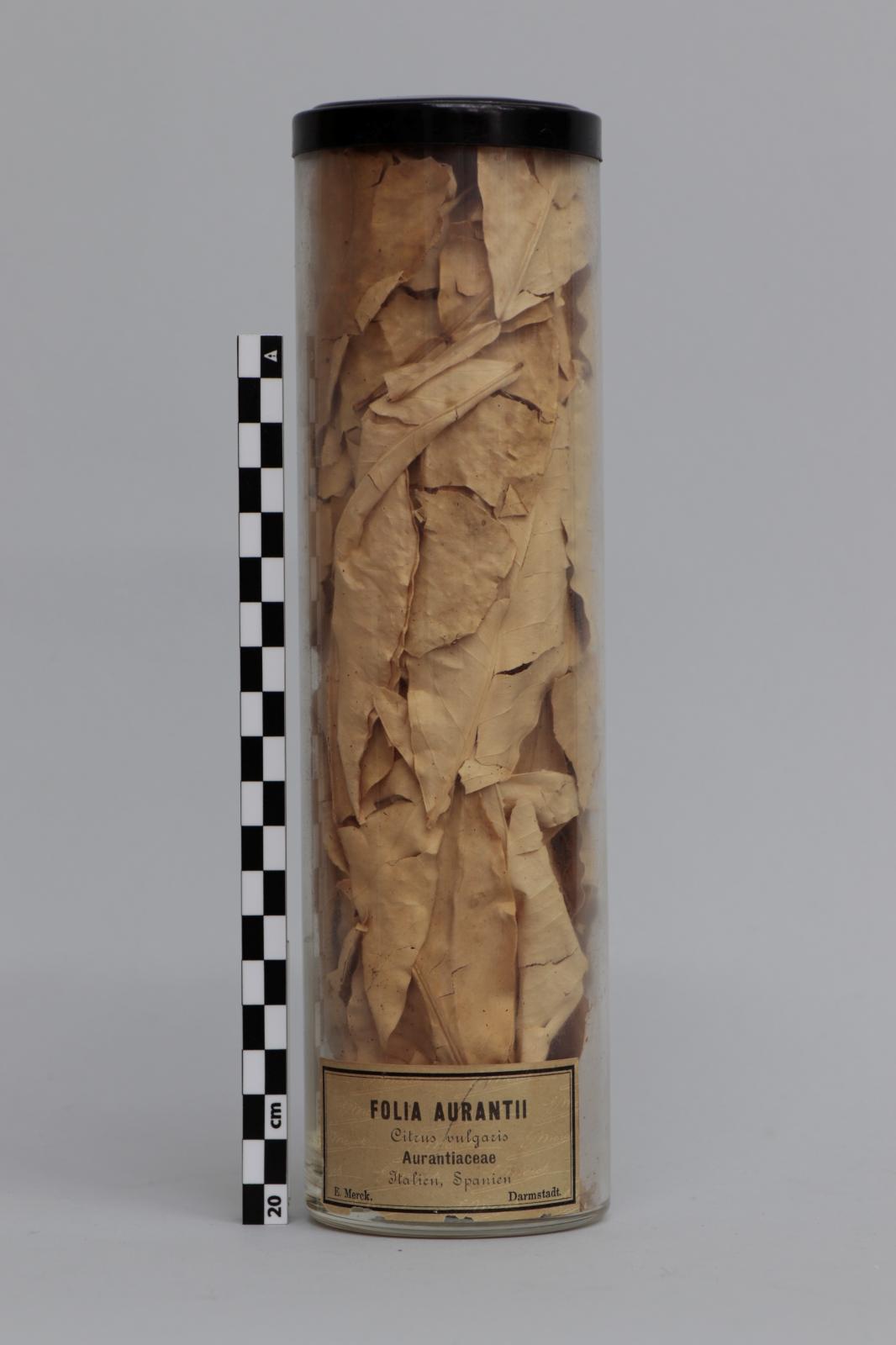 Bote de vidrio con “Folia aurantii”