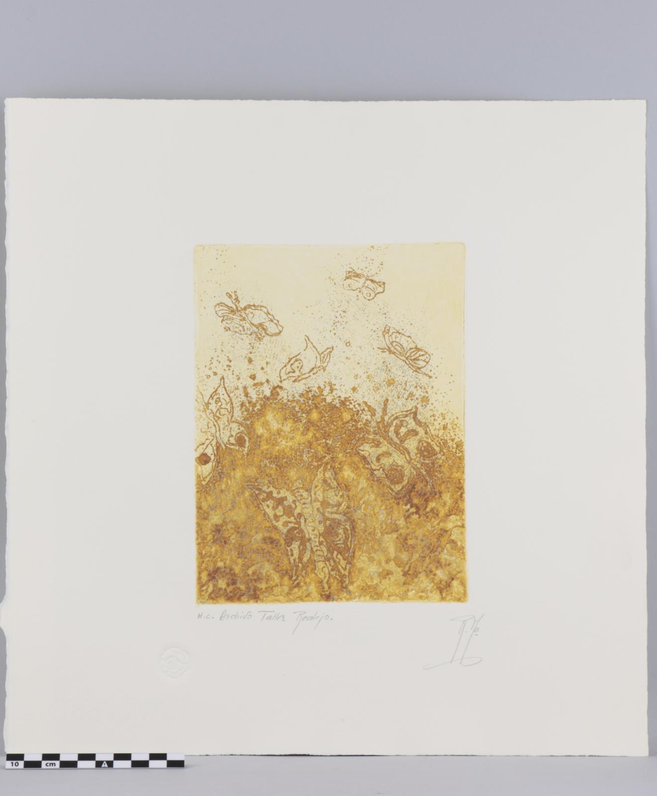 Estampa grabada sobre papel blanco cuadrangular. Representa un grupo de mariposas o polillas sobrevolando un fragmento de tierra con vegetación haciendo uso de una gama cromática basada en ocres anaranjados. 