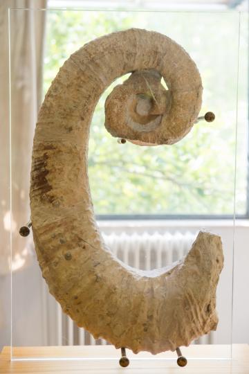 Imagen representativa de Ciencias Naturales